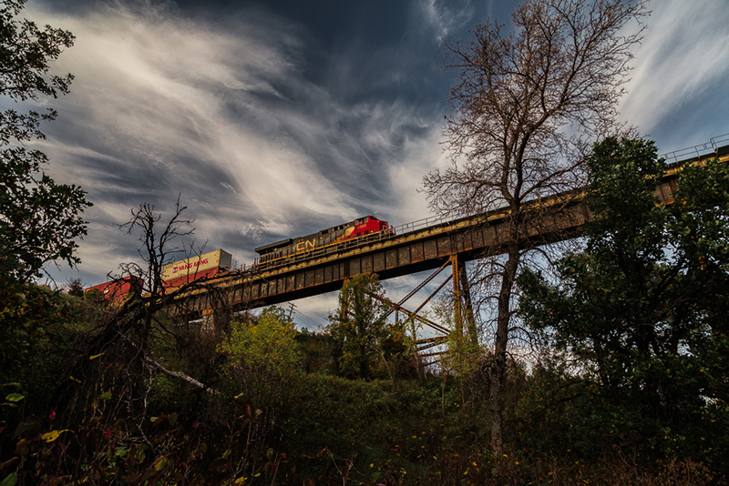 Third Place Stino Scaletta